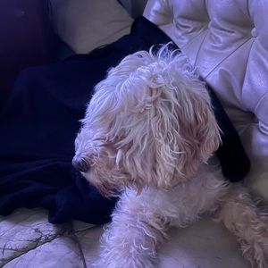 Meet your Posher, Blake